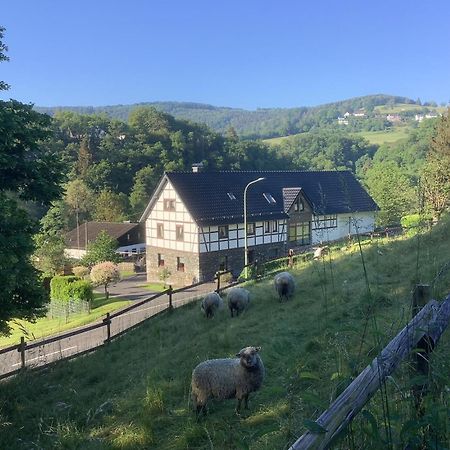 Berg Blick Eifler Bauernhaus Modern Restauriert Зимерат Екстериор снимка